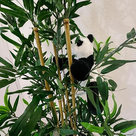 Centro Storico Spina Green House 比萨 外观 照片